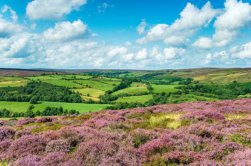 North Yorkshire Moors