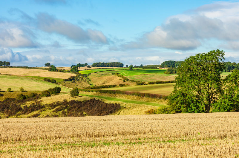 Yorkshire Wolds